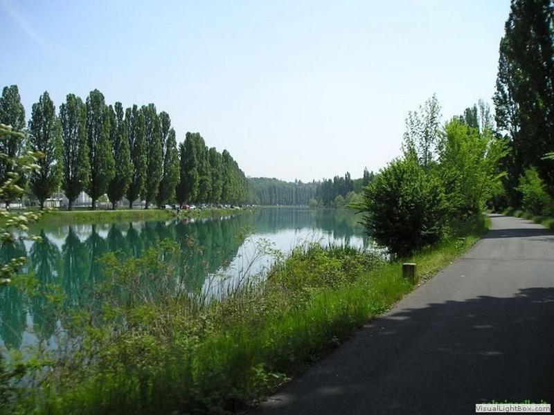 Fiori Sull'acqua * Peschiera del Garda