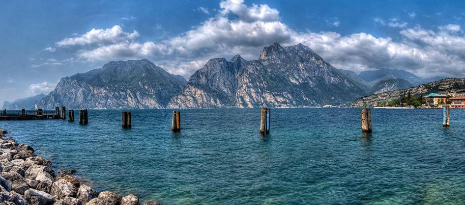 Fiori Sull'acqua * Peschiera del Garda